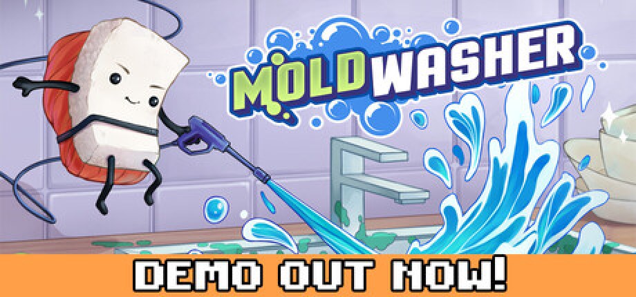 Moldwasher