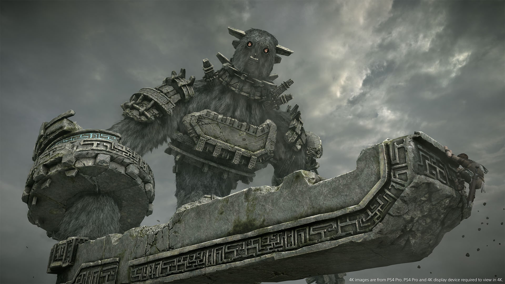 Wander encara um colosso em Shadow of the Colossus.