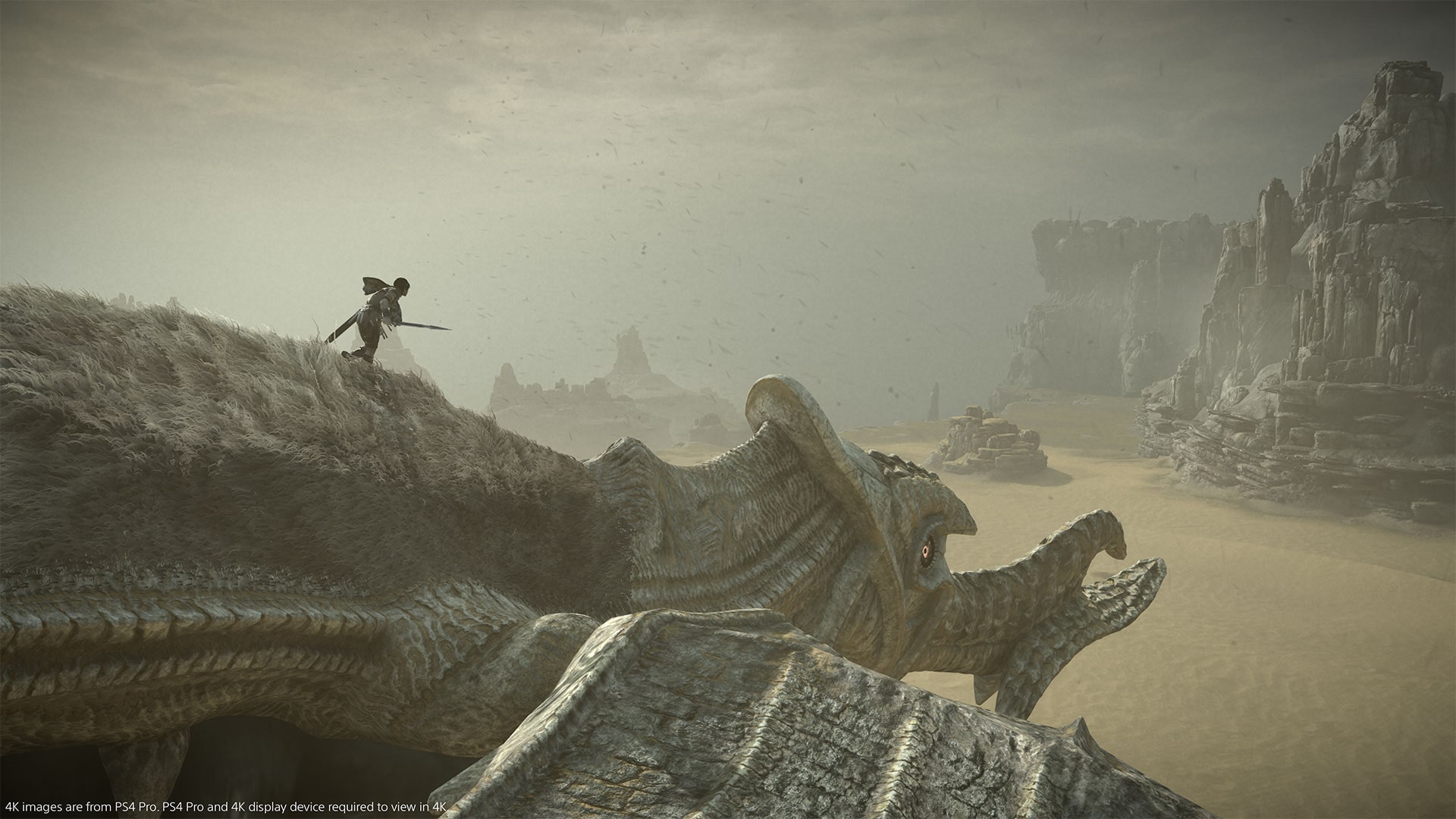 Cenário amplo do remake de Shadow of the Colossus no PlayStation 4.