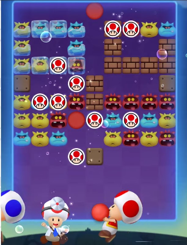 DrToad